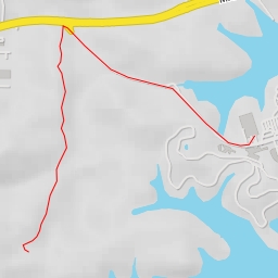 thumbnail for Central Catchment Park Connector - Central Catchment Park Connector - Singapore