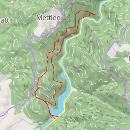 thumbnail for Wildenstein