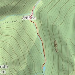 thumbnail for Pizzolto