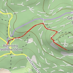 thumbnail for Ersti - Villigen