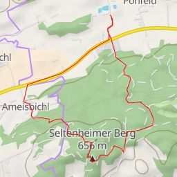 thumbnail for Seltenheimer Berg