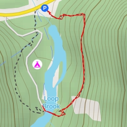 thumbnail for Loop Brook