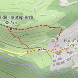 thumbnail for D 244 - Les Premiers Sapins