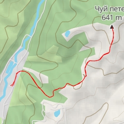 thumbnail for Чуй петел