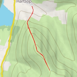 thumbnail for Caudale