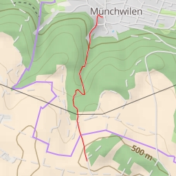 thumbnail for Schupfarterstrasse