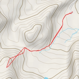 thumbnail for Hutan Mati (Dead Forest)