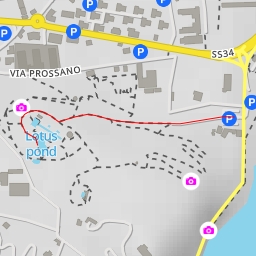 thumbnail for Vasca dei fiori di loto