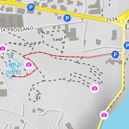 thumbnail for Vasca con ninfee