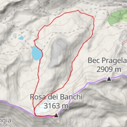 thumbnail for Rosa dei Banchi
