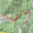 thumbnail for Balzo di Montale