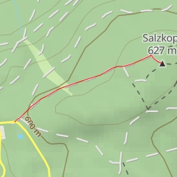 thumbnail for Salzkopf