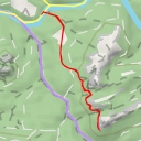 thumbnail for Teichsteinnadel