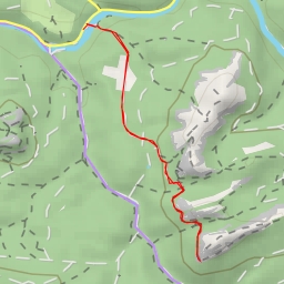 thumbnail for Teichsteinnadel