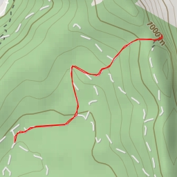 thumbnail for Perdu Cuccu