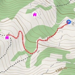 thumbnail for Diepoldsauer Schwamm