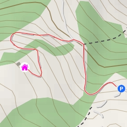 thumbnail for Eichenwieser Schwamm