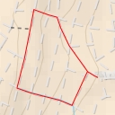 thumbnail for Bodenheimer Hoch