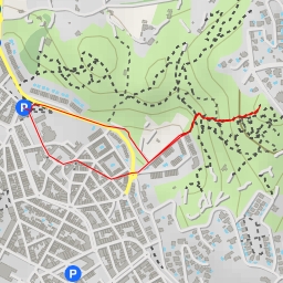 thumbnail for Puig Gustinoi