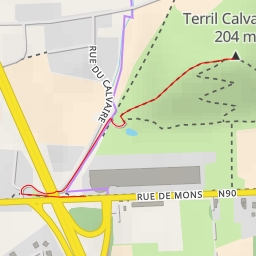 thumbnail for Terril Calvaire 2