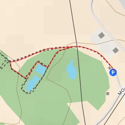 thumbnail for Niklaus Baumeyer Weg