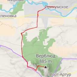 thumbnail for Верблюд