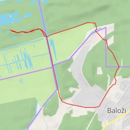 thumbnail for Ziepniekkalns - Rīga