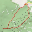 thumbnail for Roques Bessones