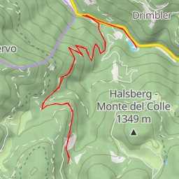 thumbnail for Sella - Sattler - Sella - Sattler