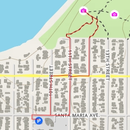 thumbnail for Bush Lupine Point