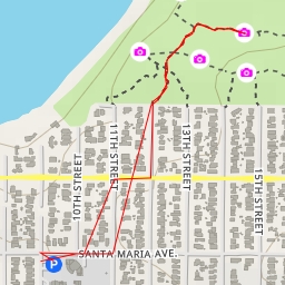 thumbnail for Celestial Meadow