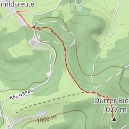 thumbnail for Dürrer Bichl