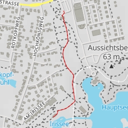 thumbnail for Irissee