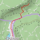 thumbnail for Wachsamer Förster