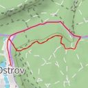 thumbnail for Veverka