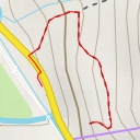 thumbnail for Elephant Head