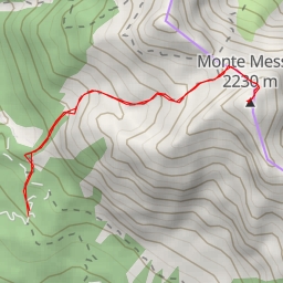 thumbnail for Monte Messer