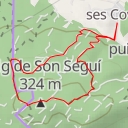 thumbnail for puig de Son Seguí