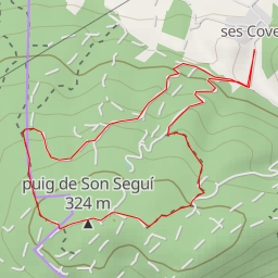 thumbnail for puig de Son Seguí