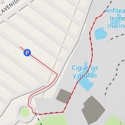 thumbnail for Anfiteatro leones marinos