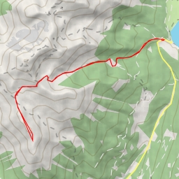 thumbnail for Coston