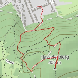 thumbnail for Hasselerbierg
