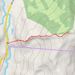 thumbnail for Wildcat D