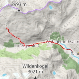 thumbnail for Zeigerpalfen