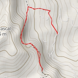 thumbnail for El Salt