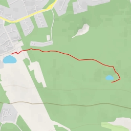 thumbnail for Metsärakka