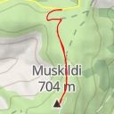 thumbnail for Muskildi