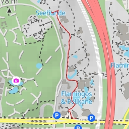 thumbnail for Seehunde