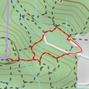 thumbnail for Liana Steps