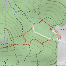 thumbnail for Liana Steps